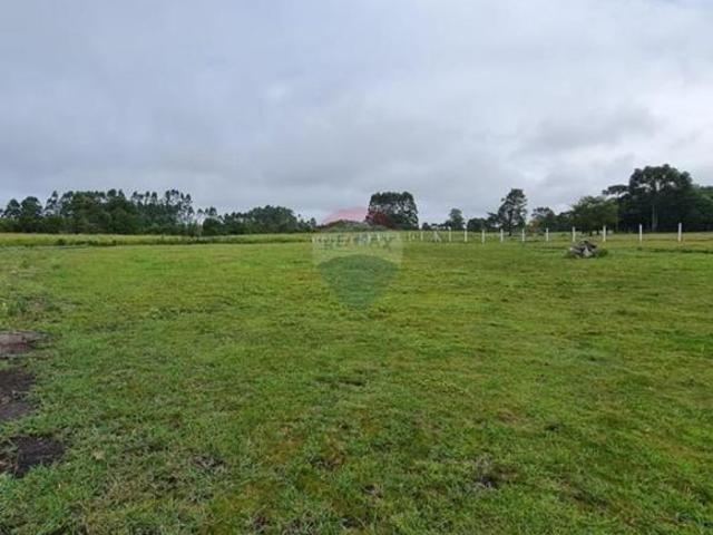 Terreno venda em Região Geográfica Imediata de Curitiba, Região Metropolitana de Curitiba