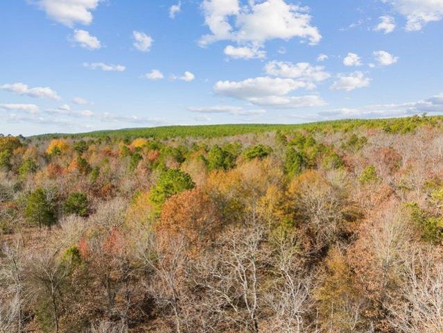 Land for sale in Rattan, Oklahoma