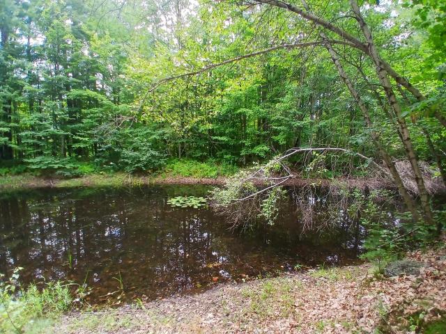 Land for sale in New Hampshire