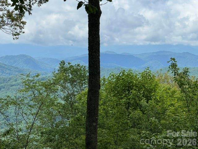 House for sale in Mars Hill, North Carolina