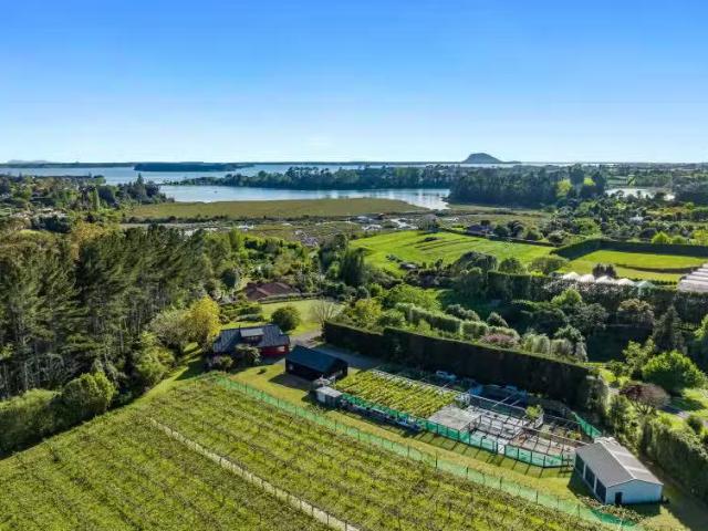 House for sale in Whakamarama, Bay Of Plenty