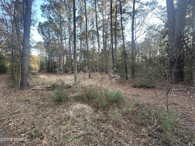 Land for sale in South Carolina