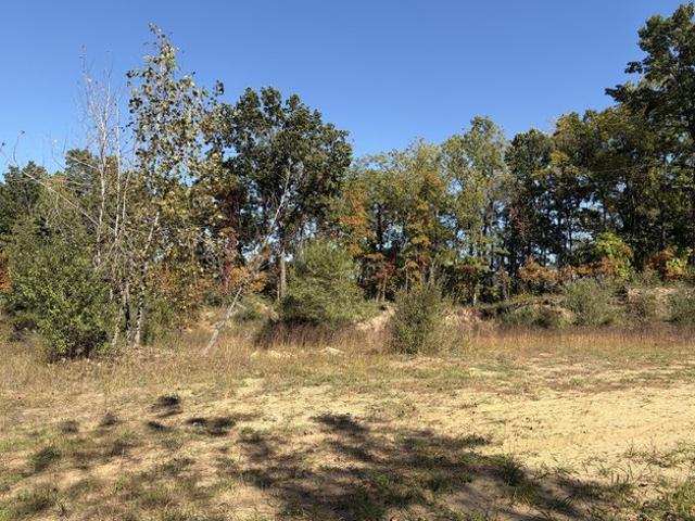 Land for sale in Gobles, Van Buren County