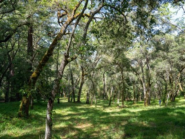 Land for sale in California