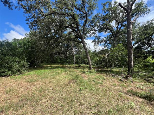 Land for sale in Schulenburg, Texas