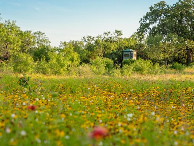 Land for sale in Marble Falls, Texas