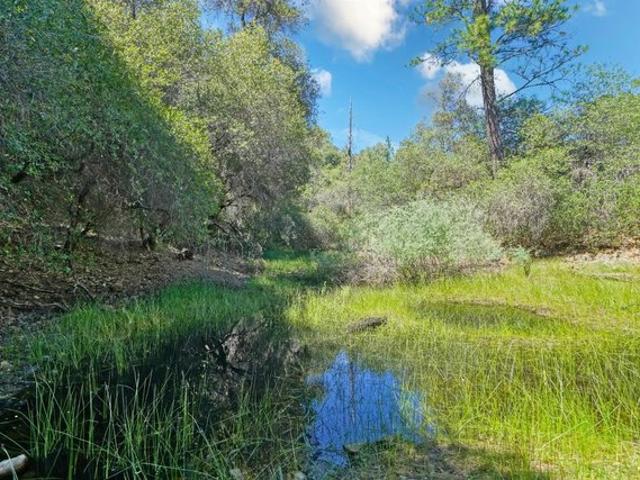 Land for sale in Placerville, California