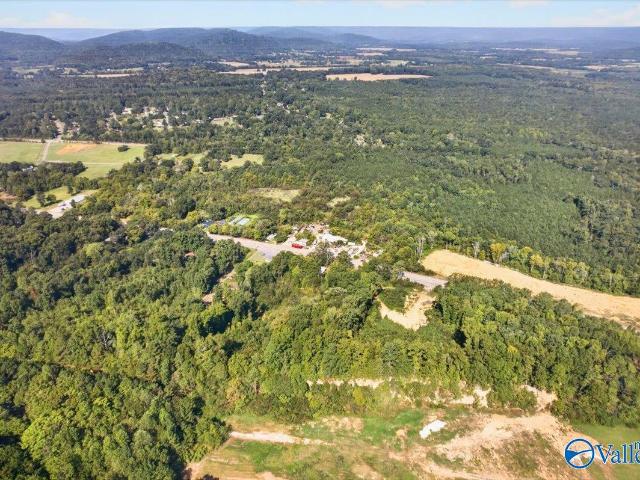Commercial for sale in Scottsboro, Alabama