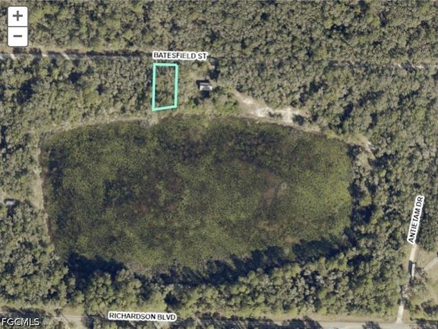 Land for sale in Webster, Florida