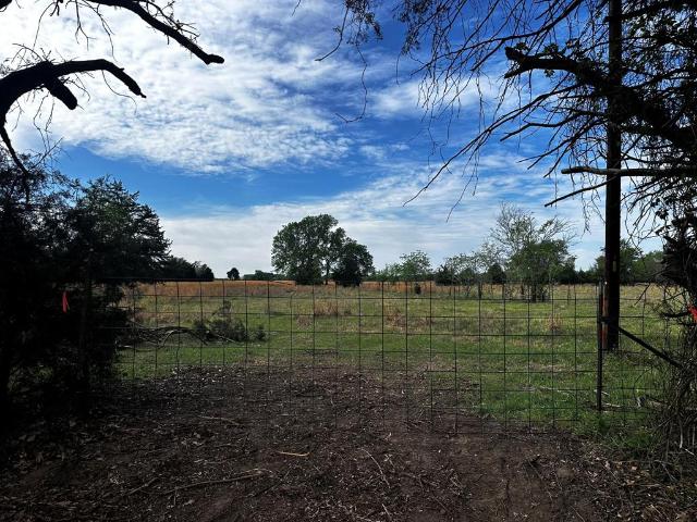 Land for sale in Wills Point, Texas
