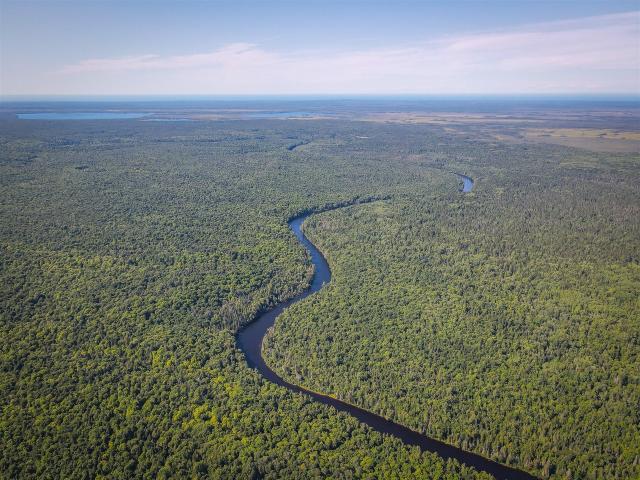 Land for sale in Michigan