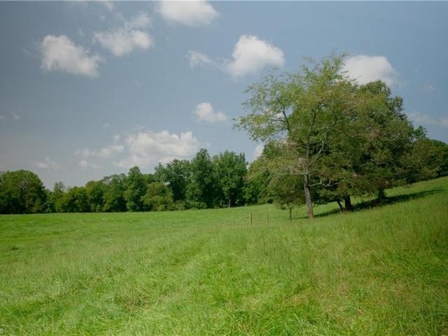 Land for sale in Stokes County, North Carolina
