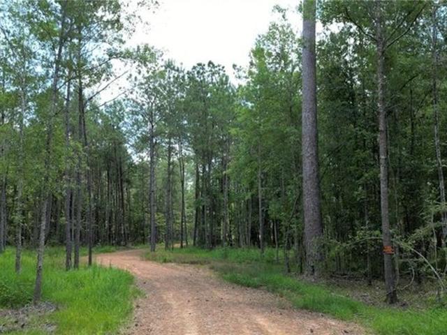 Land for sale in Independence, Louisiana