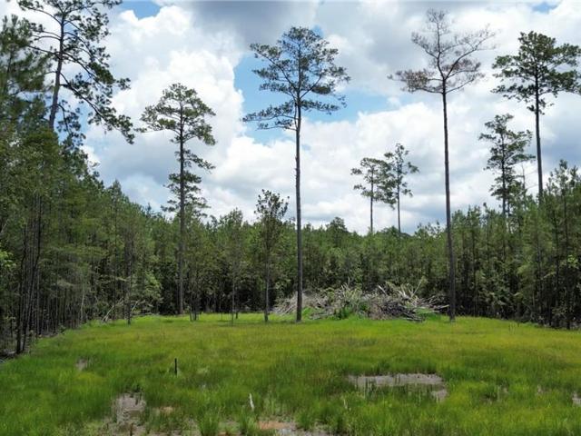 Land for sale in Holden, Louisiana