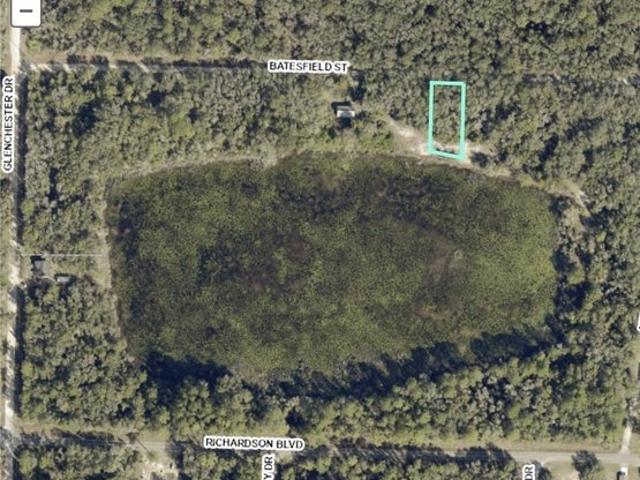 Land for sale in Webster, Florida