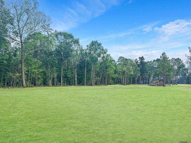 Land for sale in Walker, Louisiana