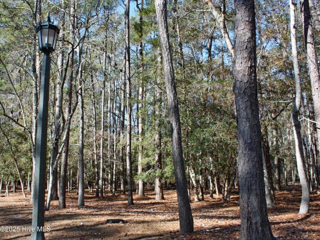 Land for sale in Ash, North Carolina