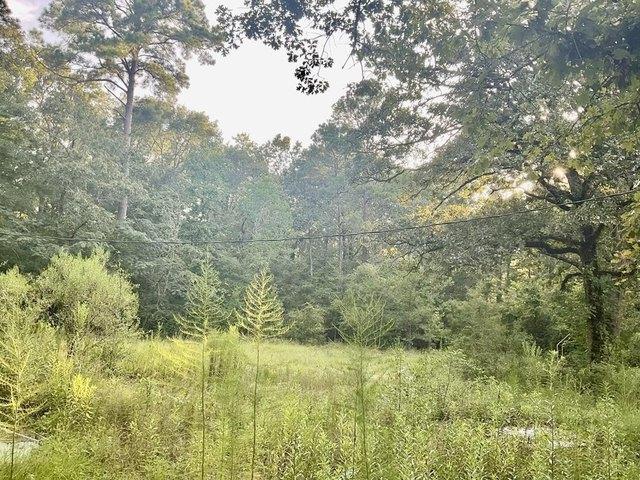 Land for sale in Huntington, Texas