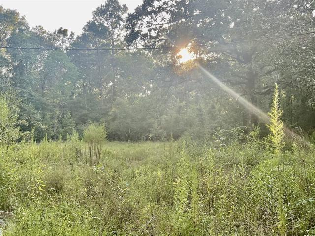 Land for sale in Huntington, Texas