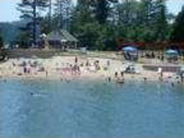 House for rent in Cedar Glen, California