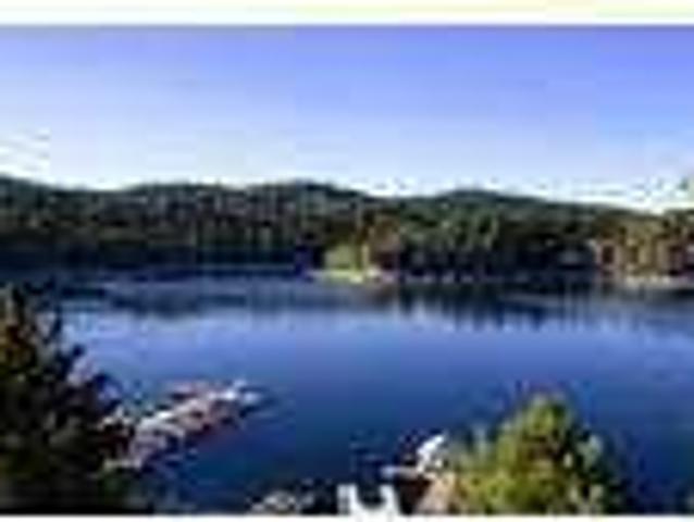 House for rent in Cedar Glen, California