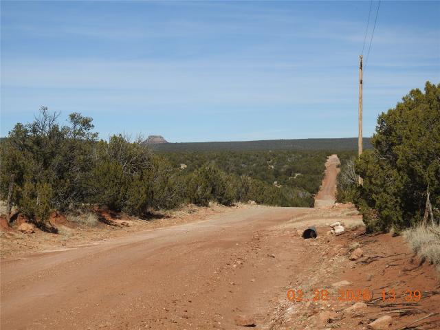 Land for sale in New Mexico