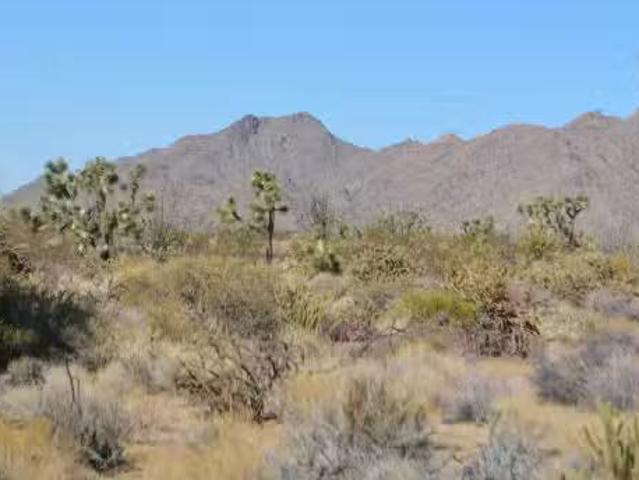 House for rent in Arizona