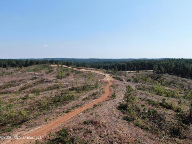 Land for sale in Hickory Flat, Mississippi