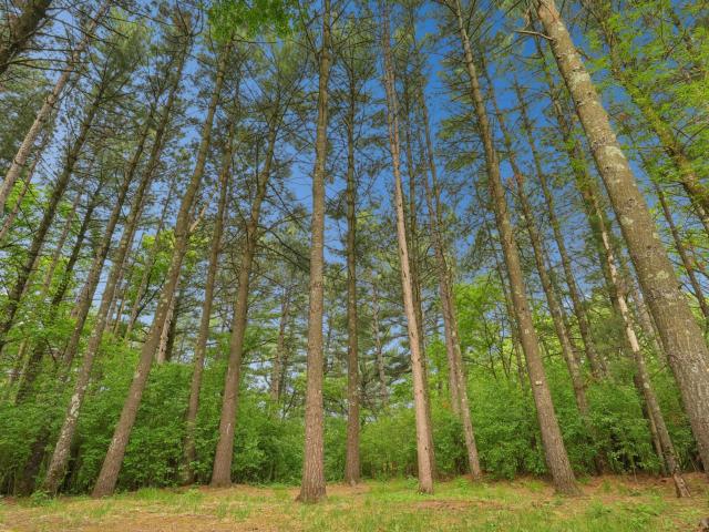 House for sale in Saint Croix, Wisconsin