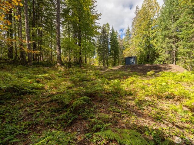 Land for sale in Packwood, Lewis County