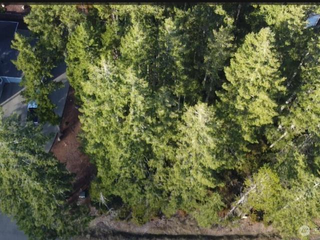 Land for sale in Union, Washington