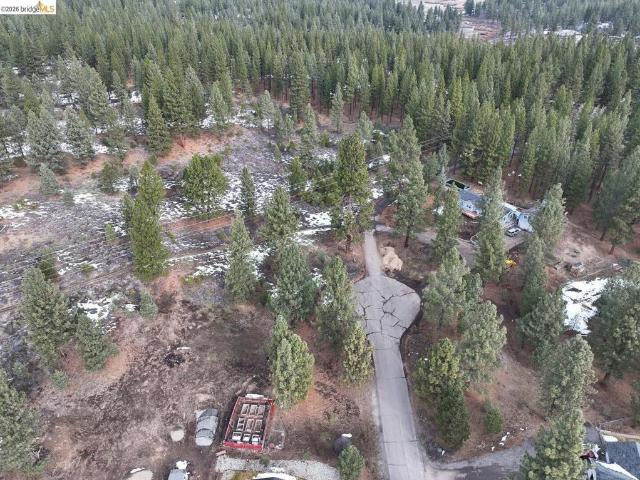 Land for sale in Portola, California