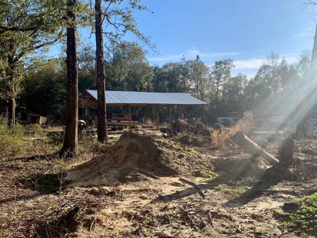 Land for sale in Geneva, Alabama