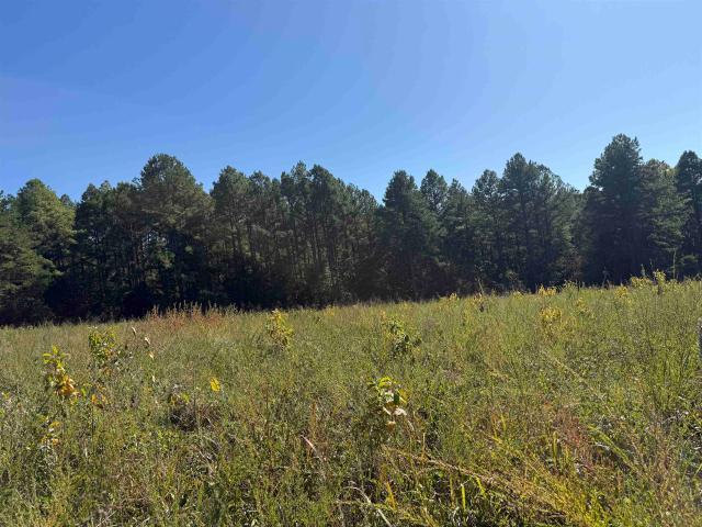 Land for sale in Ark