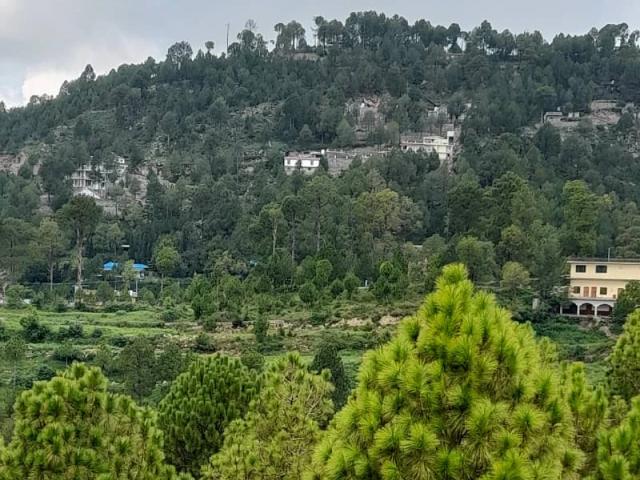 Land for sale in اسلام آباد, زون 1