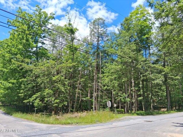 Land for sale in Blandburg, Pennsylvania
