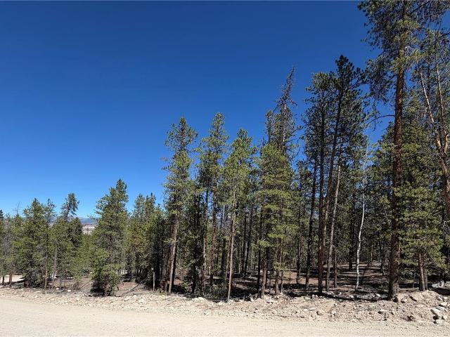 Land for sale in Twin Lakes, Lake County