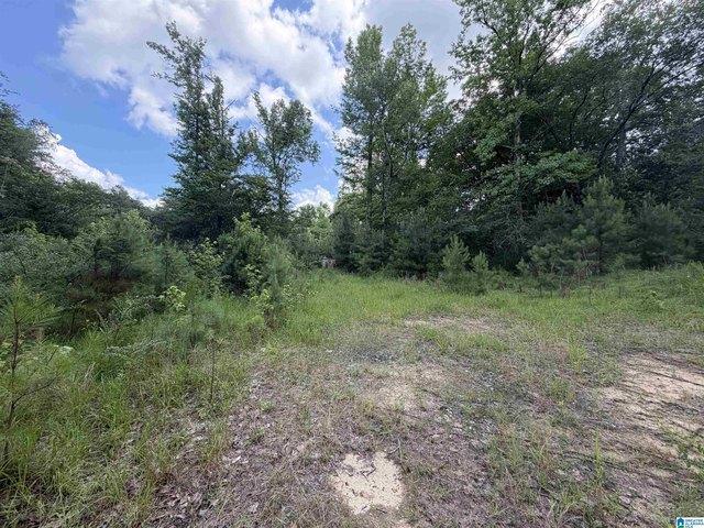 Land for sale in Warrior, Alabama