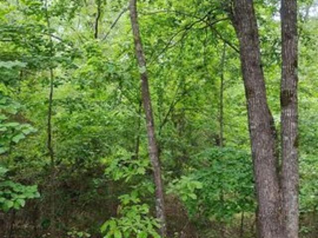 Land for sale in West Blocton, Alabama