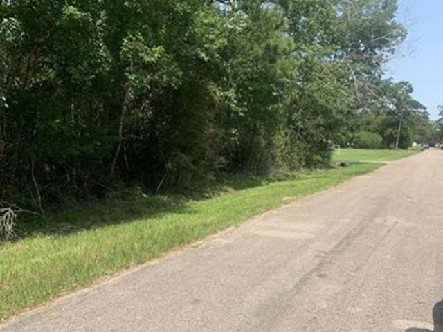 Land for sale in Sour Lake, Hardin County