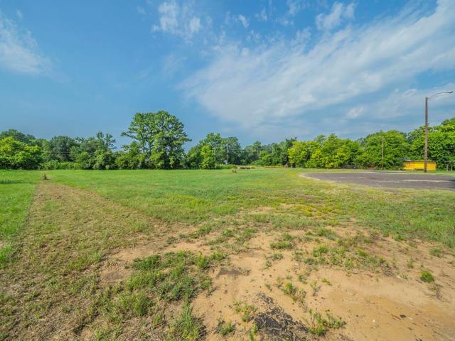 Land for sale in Van, Texas