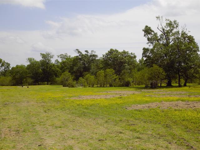 Land for sale in Polk, Texas