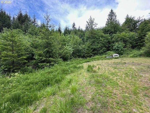 Land for sale in Kalama, Washington