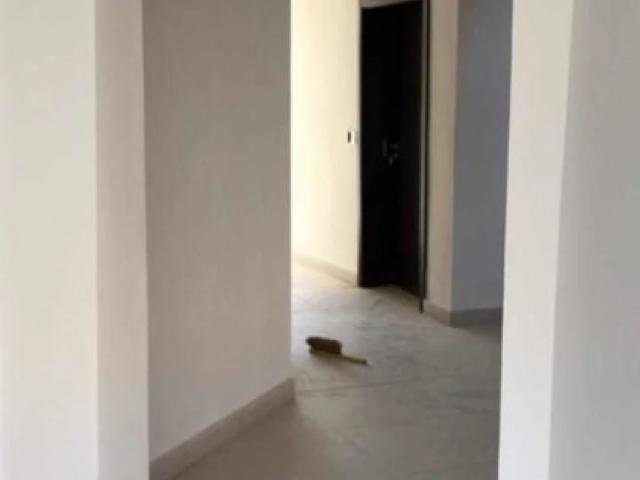 House for rent in North Waziristan, Federally Administered Tribal Areas fata