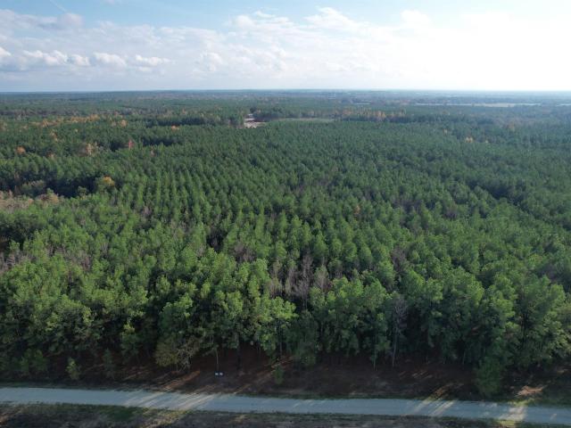 Land for sale in Lovelady, Texas