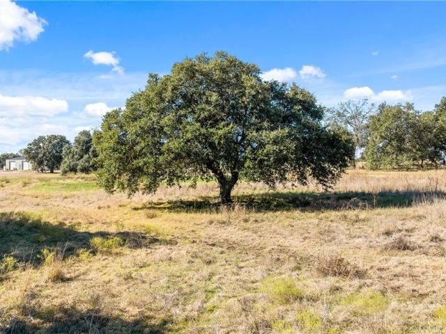 Land for sale in Oglesby, Texas
