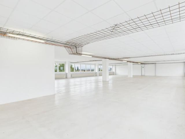 Atelier mieten in Murten, Seebezirk / District du Lac