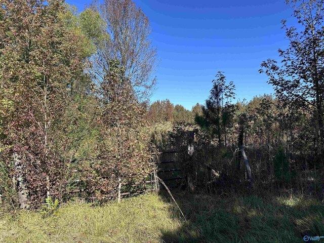 Land for sale in Haleyville, Alabama