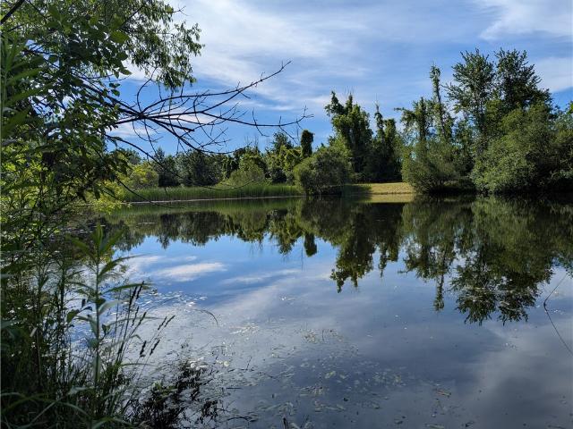 Land for sale in Orleans, New York
