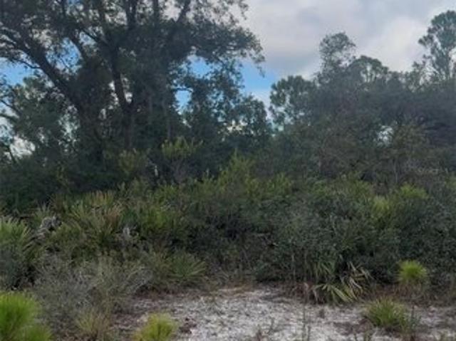 Land for sale in Lake Placid, Highlands County